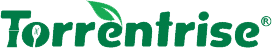 torrentrise.com